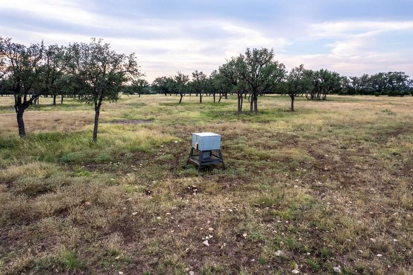 The Bar H Ranch is a 240 acre high-fenced game ranch located - photo 17