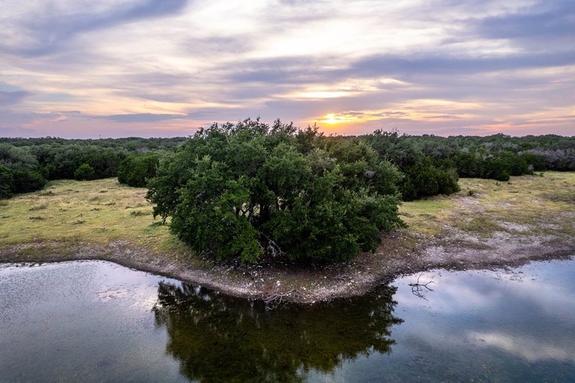 The Bar H Ranch is a 240 acre high-fenced game ranch located - photo 23
