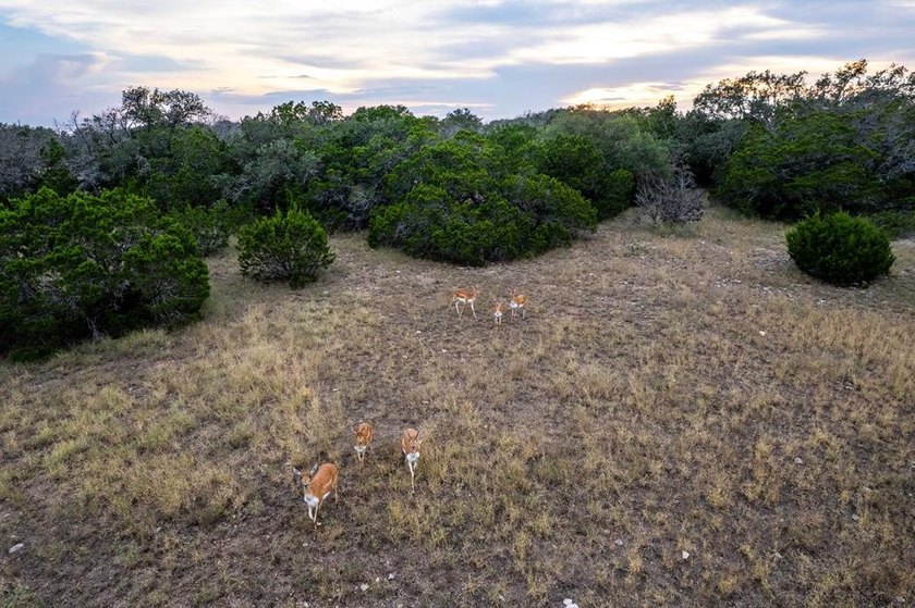 The Bar H Ranch is a 240 acre high-fenced game ranch located - photo 28