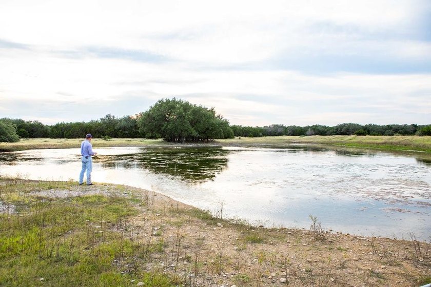 The Bar H Ranch is a 240 acre high-fenced game ranch located - photo 52