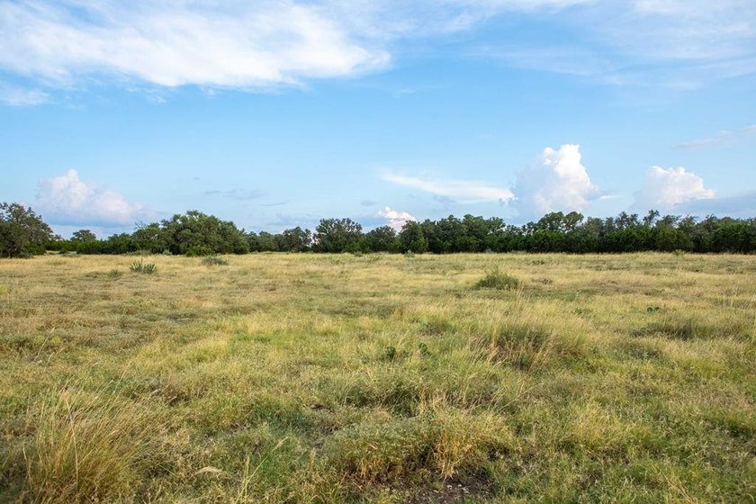 The Bar H Ranch is a 240 acre high-fenced game ranch located - photo 55