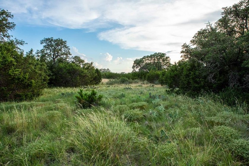The Bar H Ranch is a 240 acre high-fenced game ranch located - photo 56