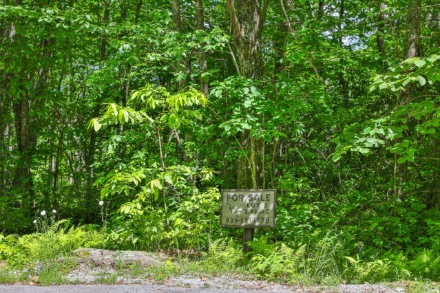 This property must be seen to be fully appreciated. While - photo 8