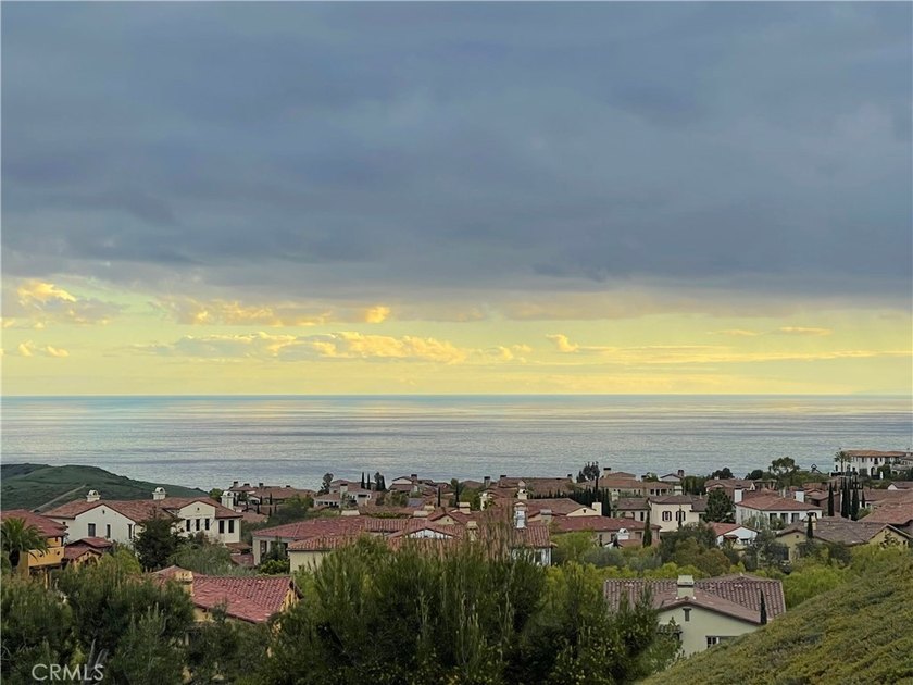 Beautiful Ocean View home is situated behind private gates above - photo 26