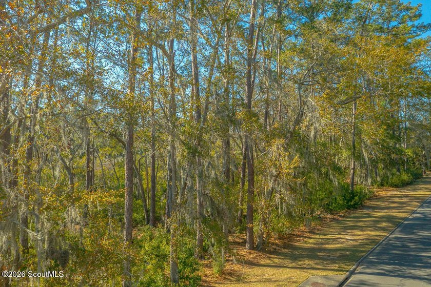 Nestled inside the gates of Hampton Plantation, this beautiful - photo 14