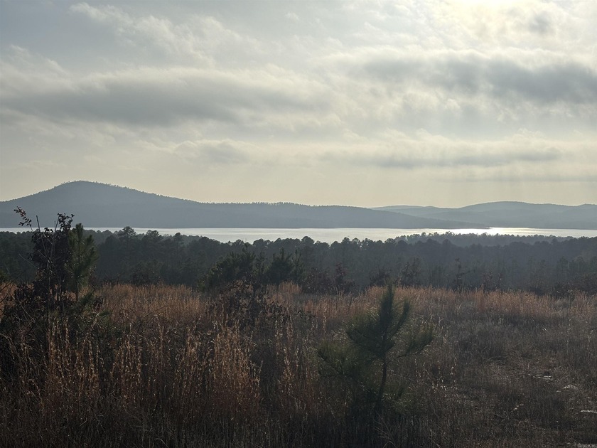 This lot has an incredible view overlooking Lake Maumelle, The - photo 2