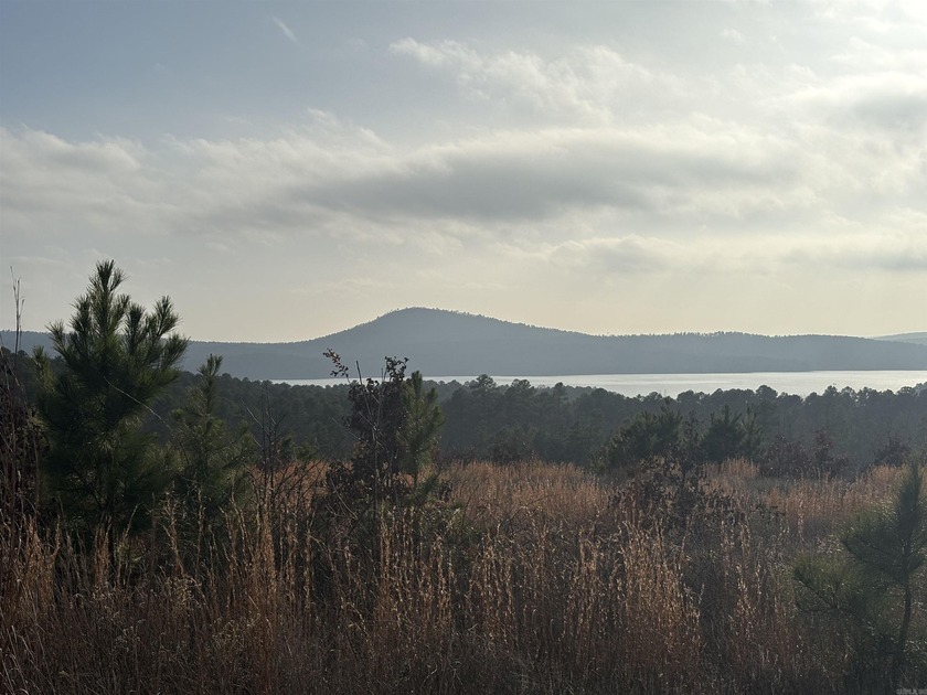 This lot has an incredible view overlooking Lake Maumelle, The - photo 3