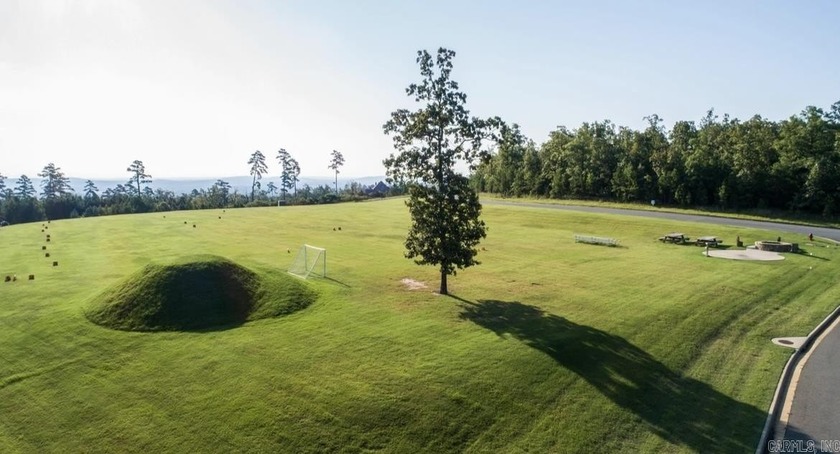 This lot has an incredible view overlooking Lake Maumelle, The - photo 9