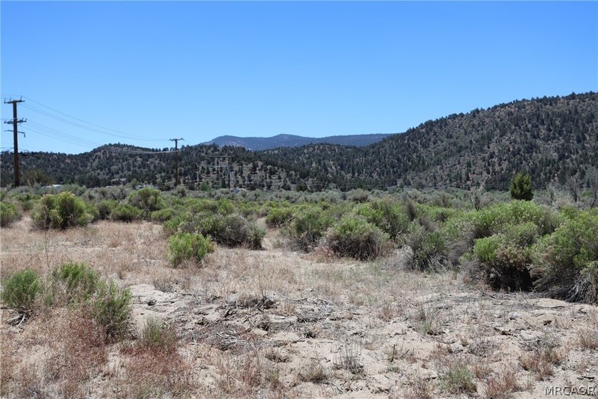 Level 50 X 100 lot with Mtn - photo 2