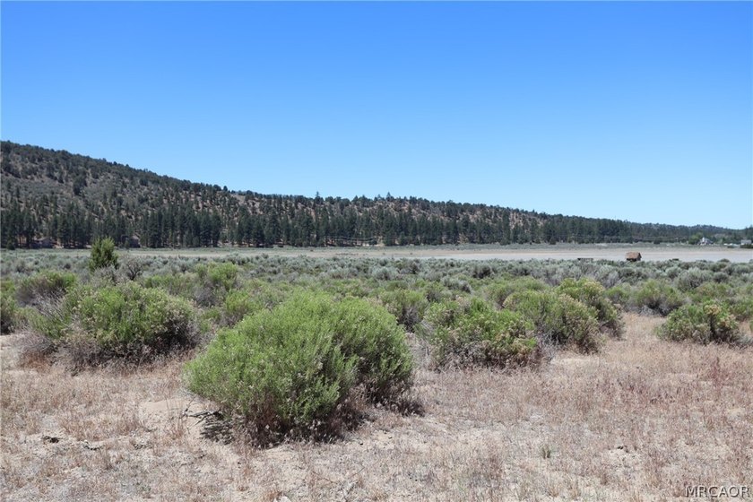 Level 50 X 100 lot with Mtn - photo 3