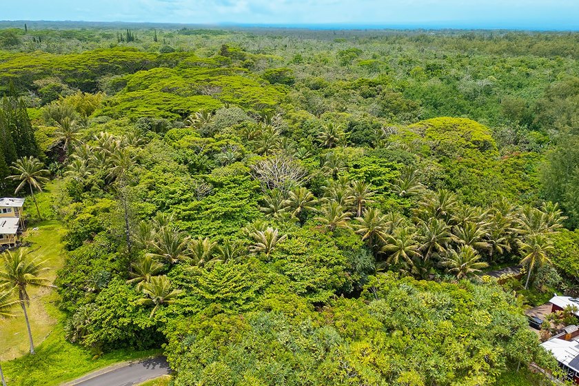 Incredible Value on a Slice of *Old Hawaii* - 1.86 Acres in the - photo 25