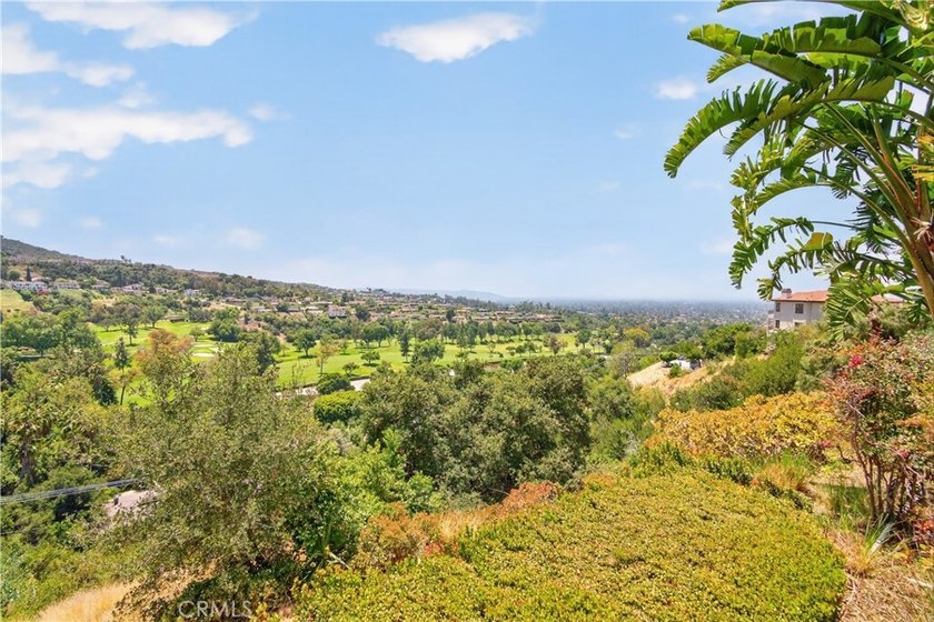 VIEW, VIEW, VIEW. This exceptional mid-century modern residence - photo 30