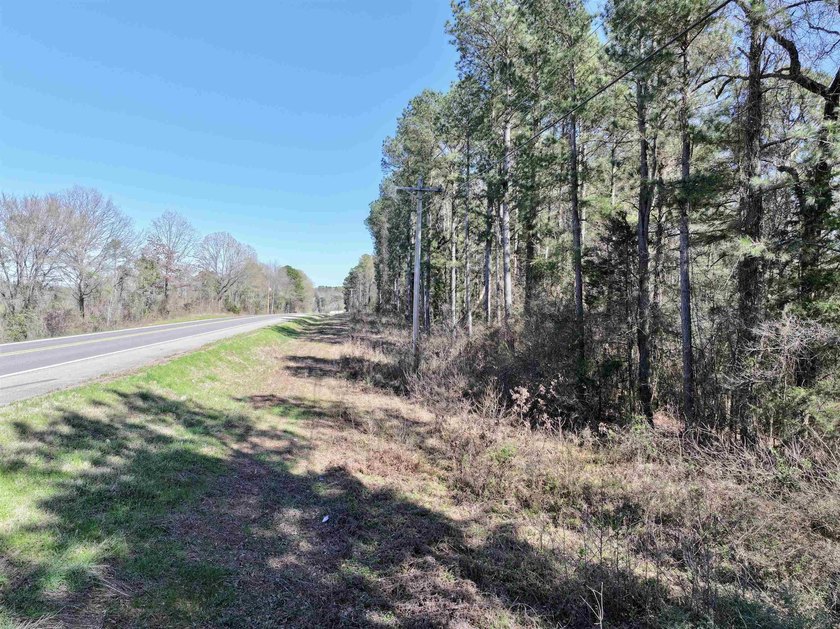 13.02+/- acres located off Highway 70 near Kirby, AR, outside - photo 11