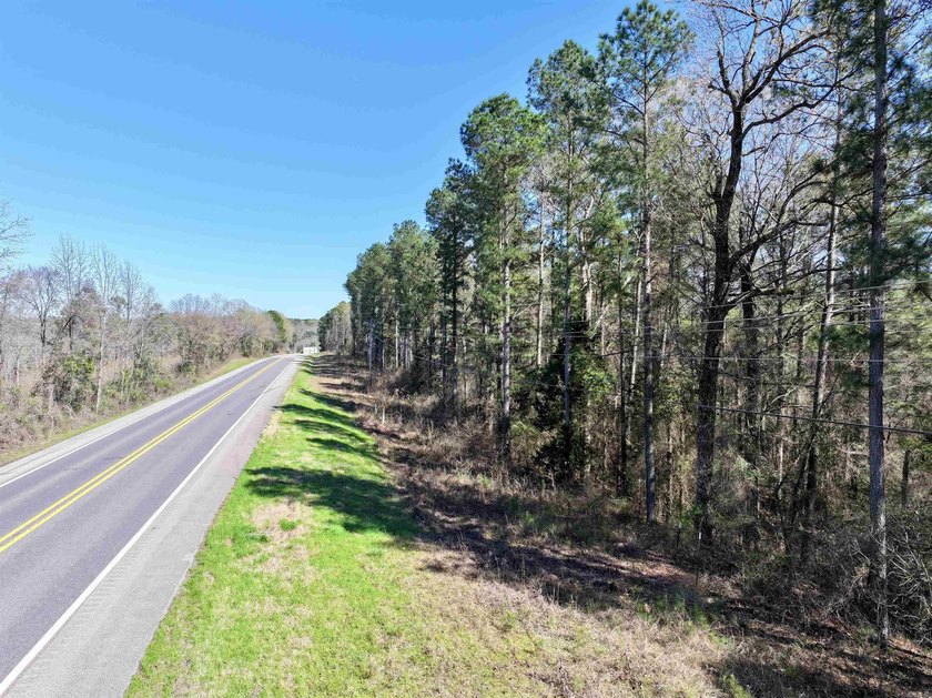 13.02+/- acres located off Highway 70 near Kirby, AR, outside - photo 12