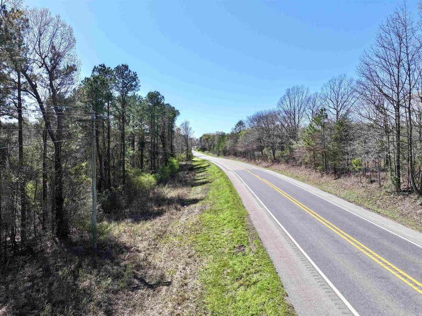 13.02+/- acres located off Highway 70 near Kirby, AR, outside - photo 13
