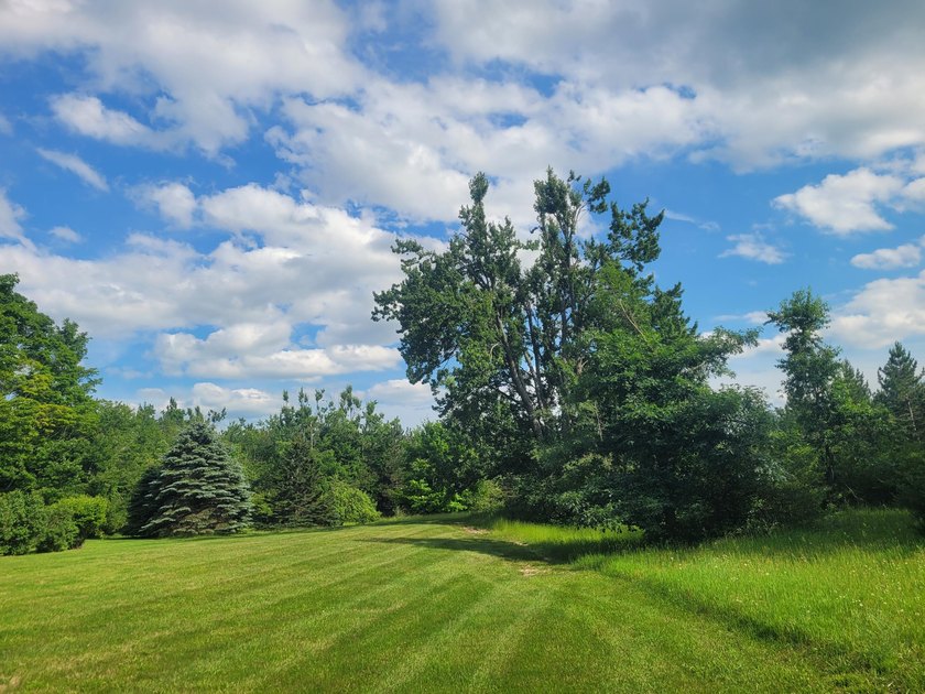 Welcome to Long Acres, a beautiful forest just outside of - photo 12
