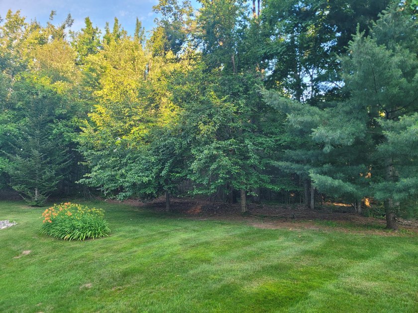 Welcome to Long Acres, a beautiful forest just outside of - photo 27