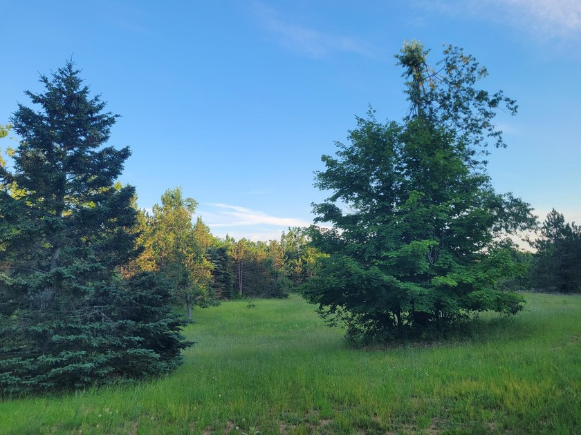 Welcome to Long Acres, a beautiful forest just outside of - photo 28