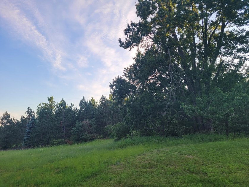 Welcome to Long Acres, a beautiful forest just outside of - photo 29