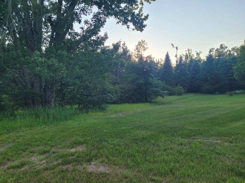 Welcome to Long Acres, a beautiful forest just outside of - photo 31