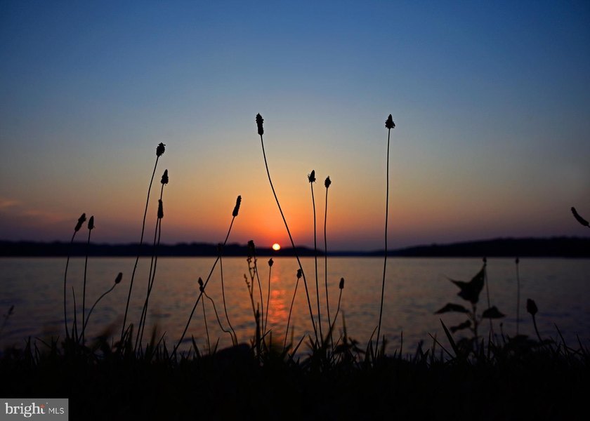 Nestled in the peaceful Halwick Estates community, this - photo 44