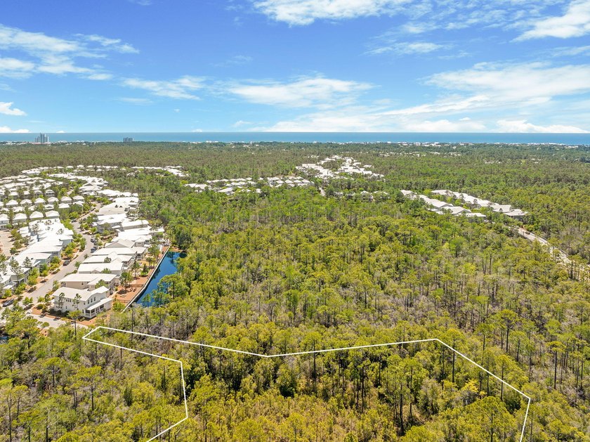 Positioned within NatureWalk at Seagrove, Turkey Oak Drive - photo 5