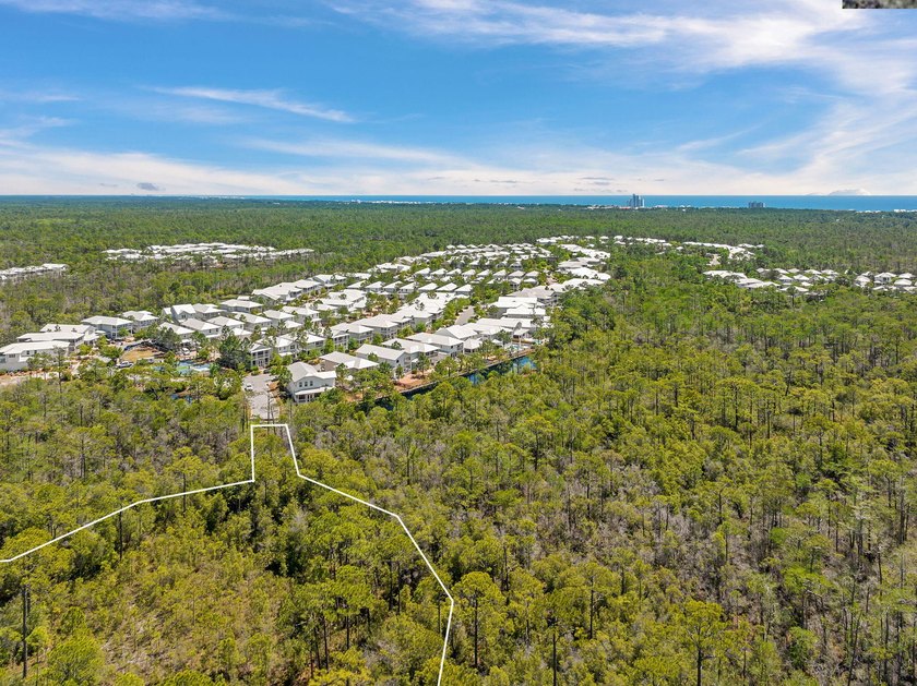 Positioned within NatureWalk at Seagrove, Turkey Oak Drive - photo 6