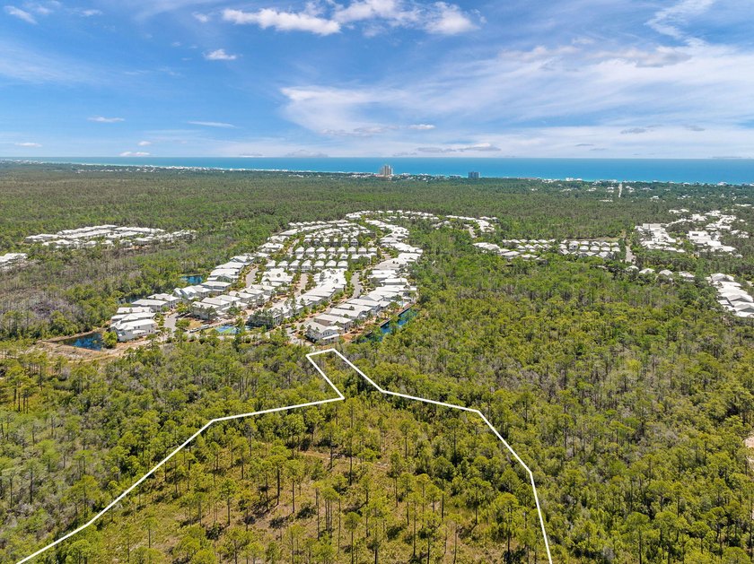 Positioned within NatureWalk at Seagrove, Turkey Oak Drive - photo 8