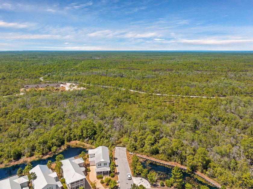 Positioned within NatureWalk at Seagrove, Turkey Oak Drive - photo 10