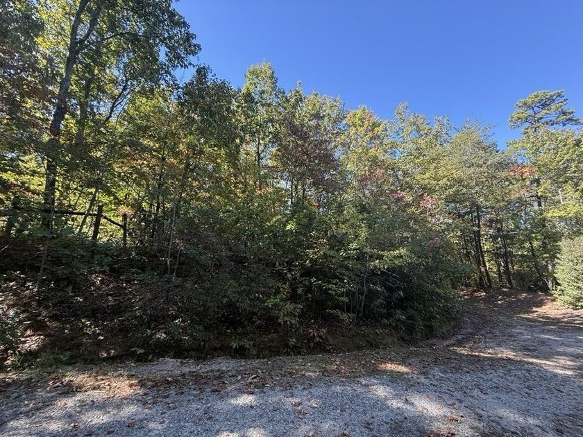 Welcome to the Lake Lanier community, ideally situated between - photo 43