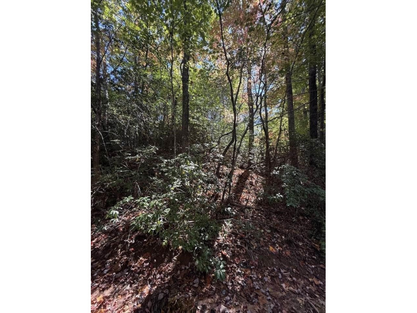 Welcome to the Lake Lanier community, ideally situated between - photo 44