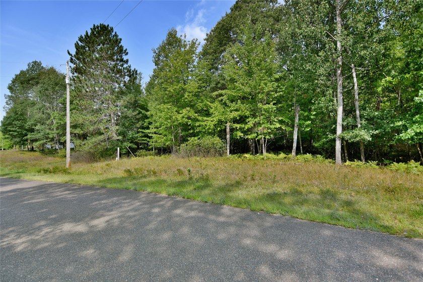 Unique, pristine Northwoods opportunity on the highly - photo 2