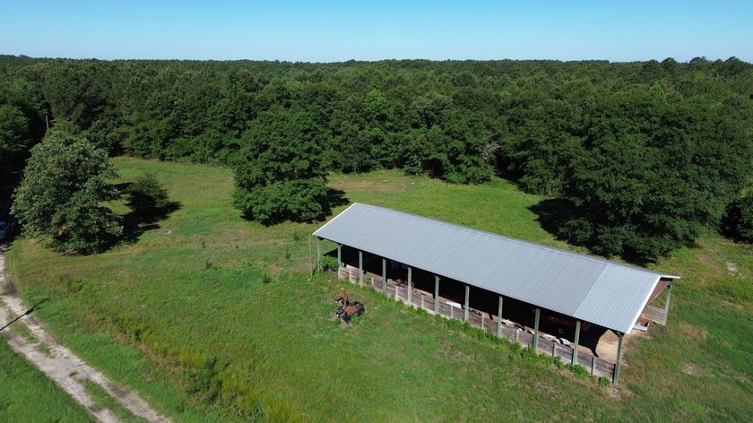 40 +/- acres located on Holladay Road between Manning and - photo 2