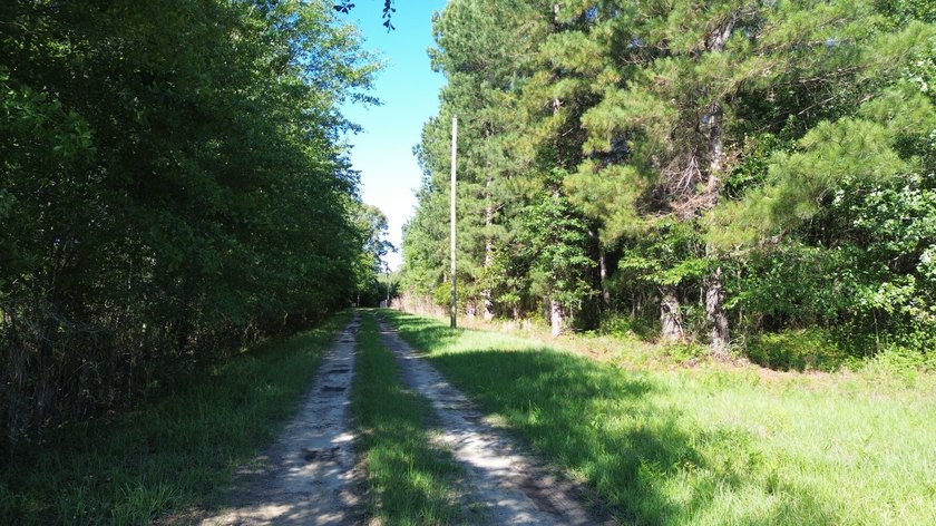 40 +/- acres located on Holladay Road between Manning and - photo 4