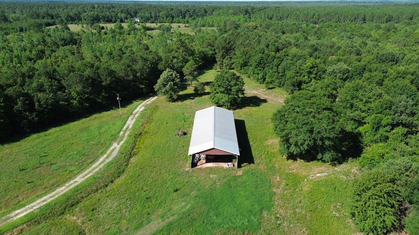 40 +/- acres located on Holladay Road between Manning and - photo 6