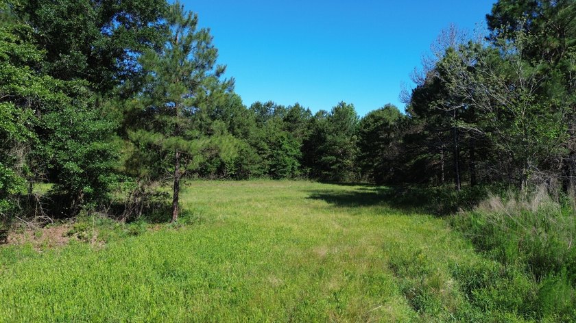 40 +/- acres located on Holladay Road between Manning and - photo 8