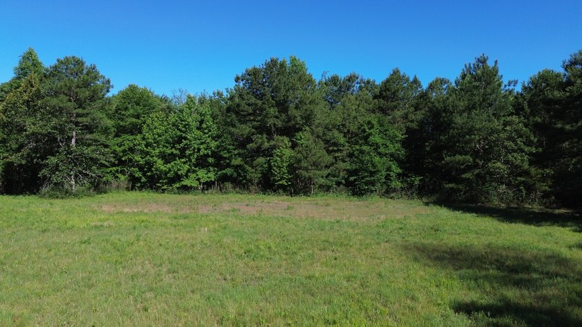 40 +/- acres located on Holladay Road between Manning and - photo 9