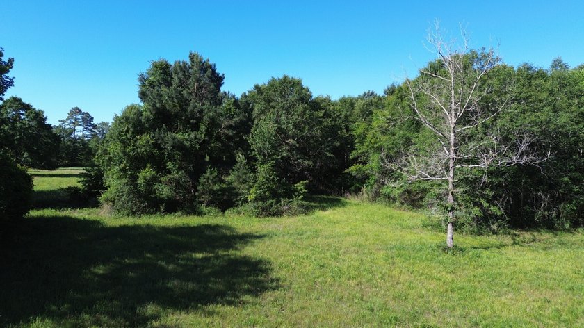 40 +/- acres located on Holladay Road between Manning and - photo 10