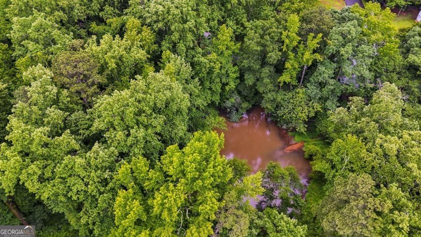 Rare 9.5-Acre Haven with Spring-Fed Pond, Multiple Structures &amp; - photo 8