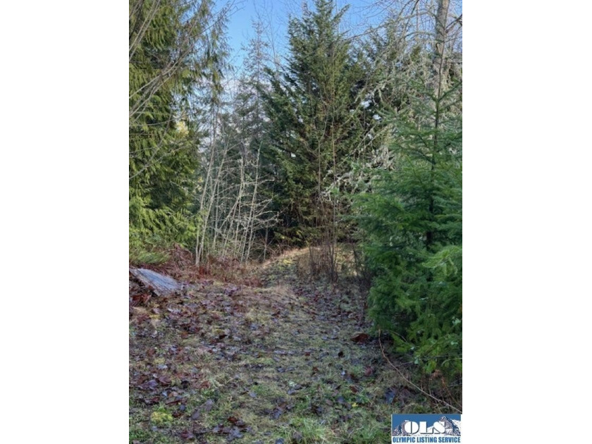 **Easy-access 5-acre property with private well and power - photo 12