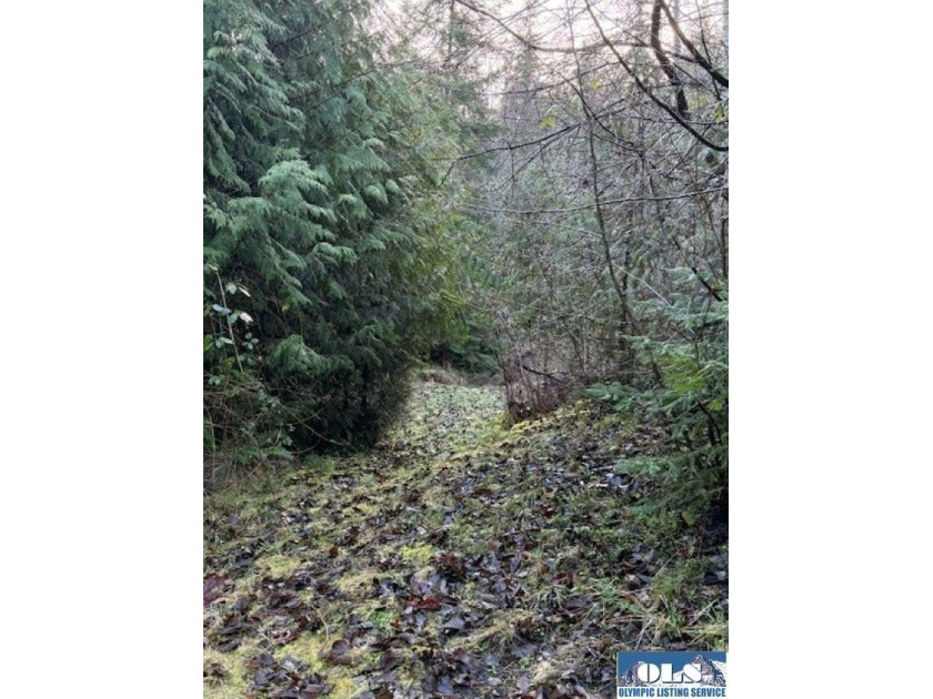 **Easy-access 5-acre property with private well and power - photo 13