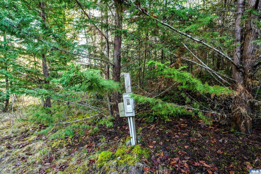**Easy-access 5-acre property with private well and power - photo 21