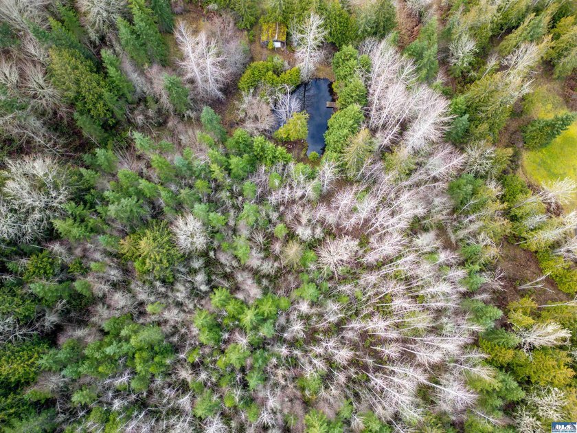 **Easy-access 5-acre property with private well and power - photo 23