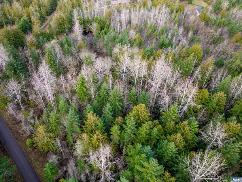 **Easy-access 5-acre property with private well and power - photo 24