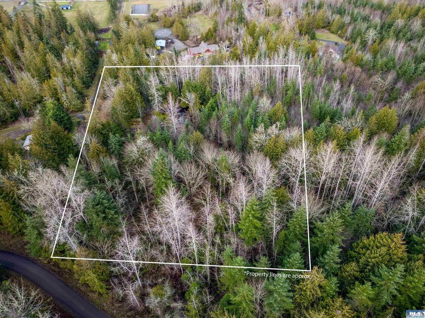 **Easy-access 5-acre property with private well and power - photo 27