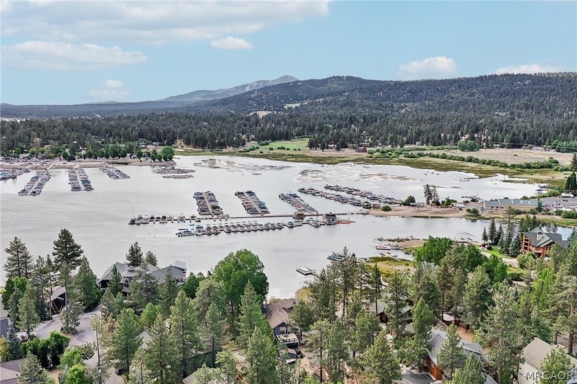 Prime lakefront living at its finest! This turnkey waterfront - photo 8