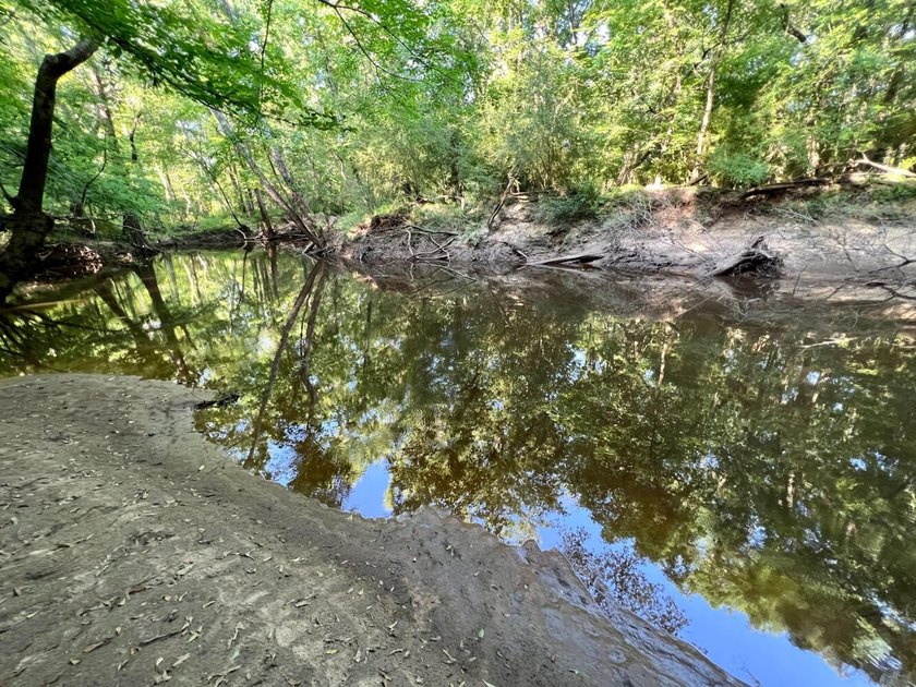 This waterfront timber and hunting investment offers a lot - photo 16