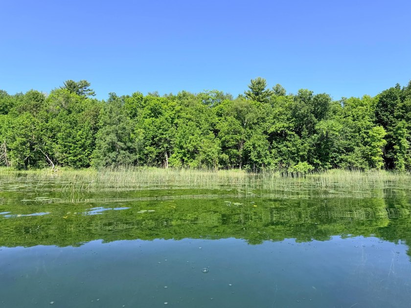 100 Feet on McKeown Lake! Create your Northwoods getaway on this - photo 2