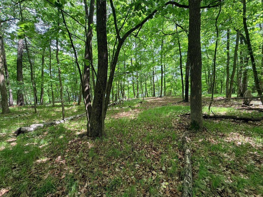 100 Feet on McKeown Lake! Create your Northwoods getaway on this - photo 3