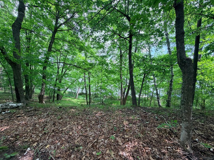100 Feet on McKeown Lake! Create your Northwoods getaway on this - photo 5